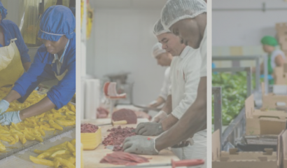 Le PARM et Martinique Développement accompagnent les créateurs d'entreprises agroalimentaires
