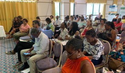 TECHDAY : les avancées pour la valorisation des plantes de Martinique